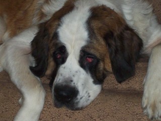 100_0627.jpg